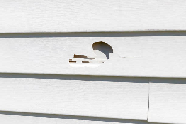 Best Custom Siding Design  in Leisure Village East, NJ